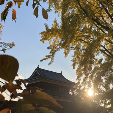 プロフィール画像